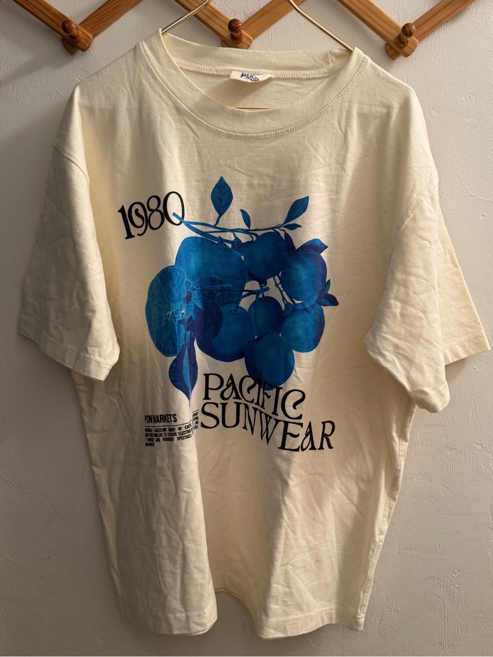 PacSun Pacific Sunwear 1980 Floral Oversized Graphic Tee - Cream / Blue